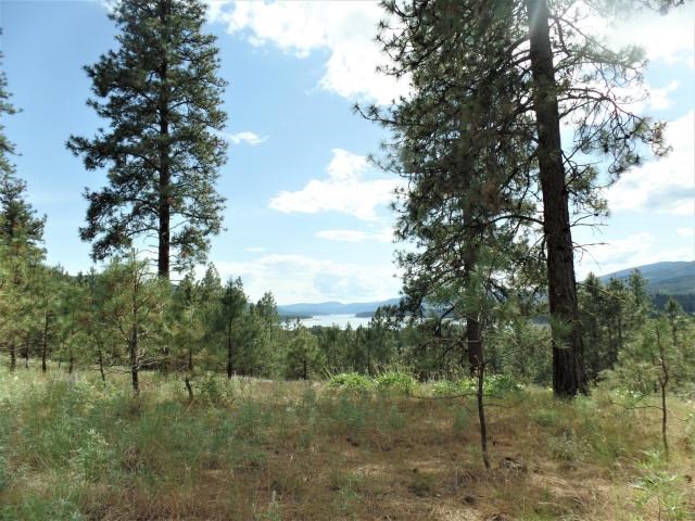 Lot 102 Old Kettle Road Kettle Falls, WA 99141 - Photo 14 of 18 Gallery Image 14
