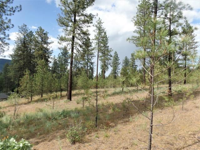 Lot 102 Old Kettle Road Kettle Falls, WA 99141 - Photo 15 of 18 Gallery Image 15