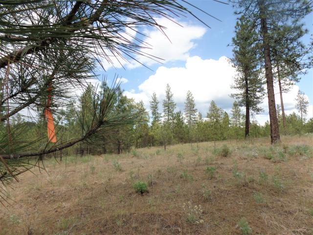Lot 102 Old Kettle Road Kettle Falls, WA 99141 - Photo 16 of 18 Gallery Image 16