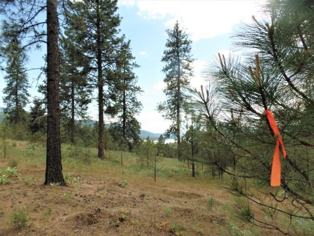 Lot 102 Old Kettle Road Kettle Falls, WA 99141 - Photo 17 of 18 Gallery Image 17