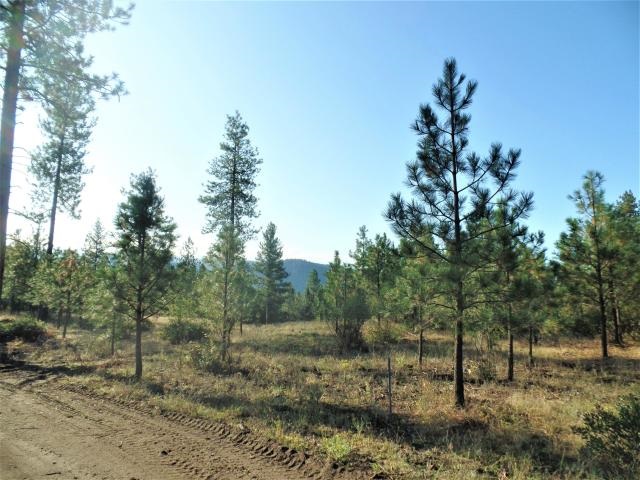 Lot 102 Old Kettle Road Kettle Falls, WA 99141 - Photo 18 of 18 Gallery Image 18