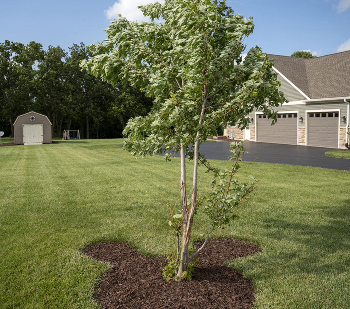 15919 Burr Oak Road Plano, IL 60545 - Photo 15 of 50