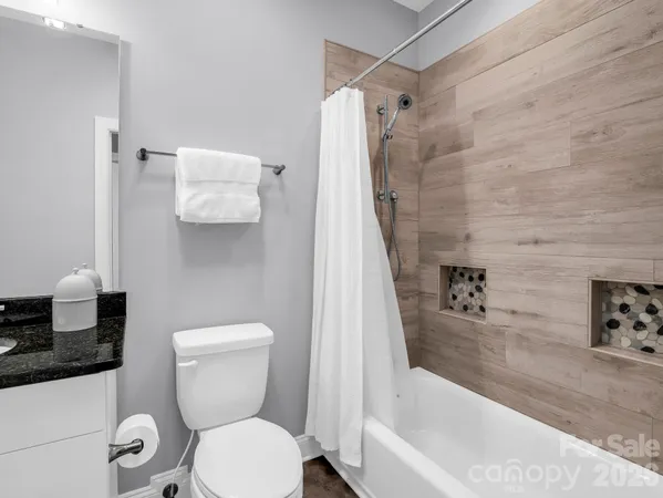 a bathroom with a toilet and a bathtub