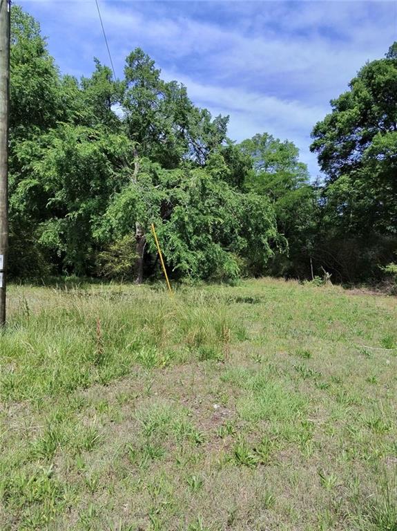 479 Sandtown Road Southeast Cartersville, GA 30121 - Photo 12 of 19 a view of outdoor space and yard