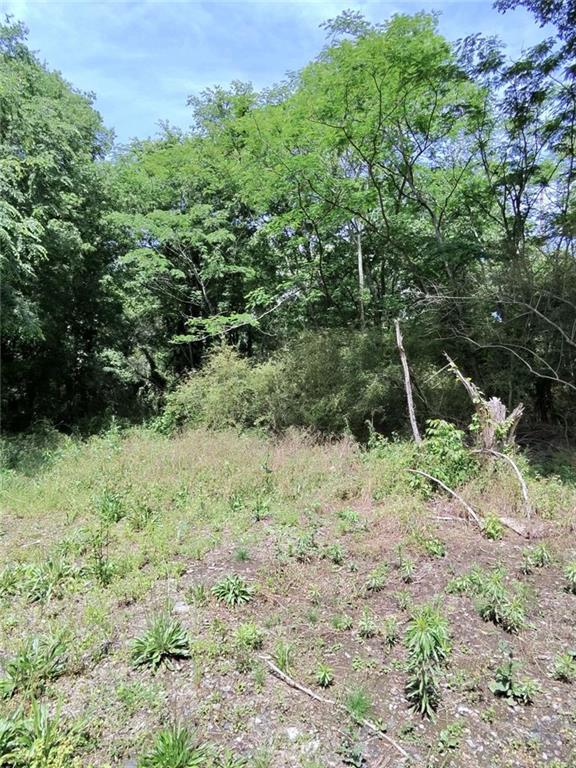479 Sandtown Road Southeast Cartersville, GA 30121 - Photo 14 of 19 a view of a yard with plants and a tree
