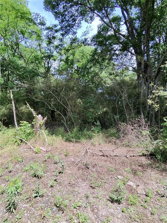 479 Sandtown Road Southeast Cartersville, GA 30121 - Photo 15 of 19 a view of plants and trees