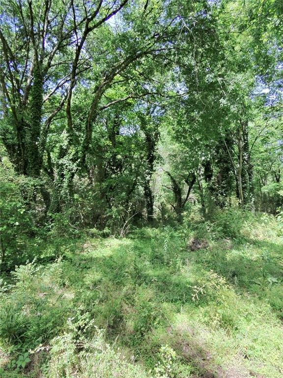 479 Sandtown Road Southeast Cartersville, GA 30121 - Photo 18 of 19 a view of a lush green forest