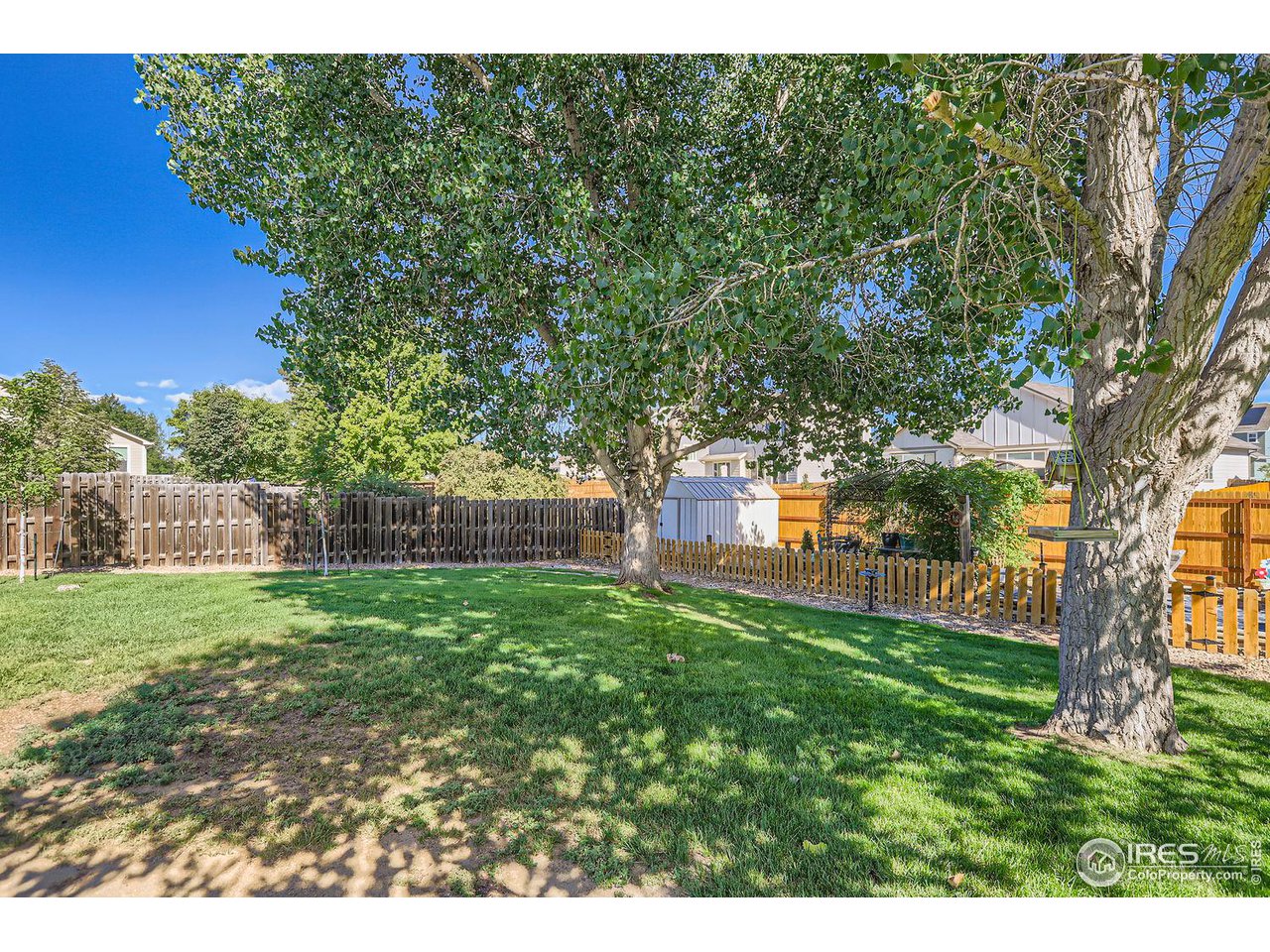 135 Falcon Circle Mead, CO 80542 - Photo 27 of 27 a view of a yard with a tree