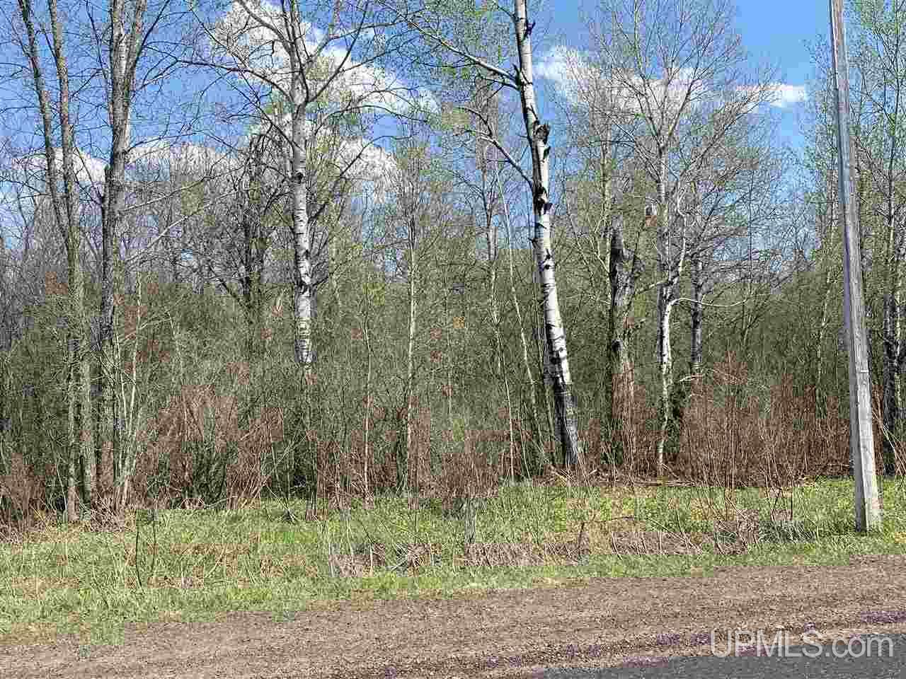 On South Barber Road Bessemer, MI 49911 - Photo 8 of 21 Gallery Image 8