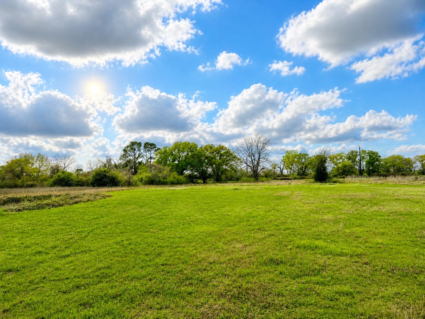1161 West FM 1161 Road Wharton, TX 77488 - Photo 11 of 14 a view of an ocean from a yard