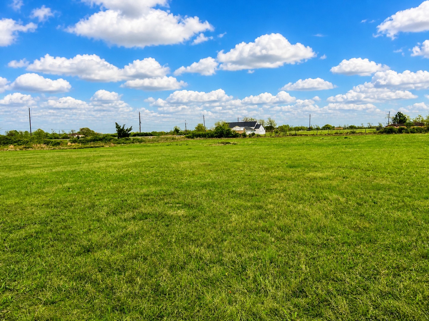 1161 West FM 1161 Road Wharton, TX 77488 - Photo 12 of 14