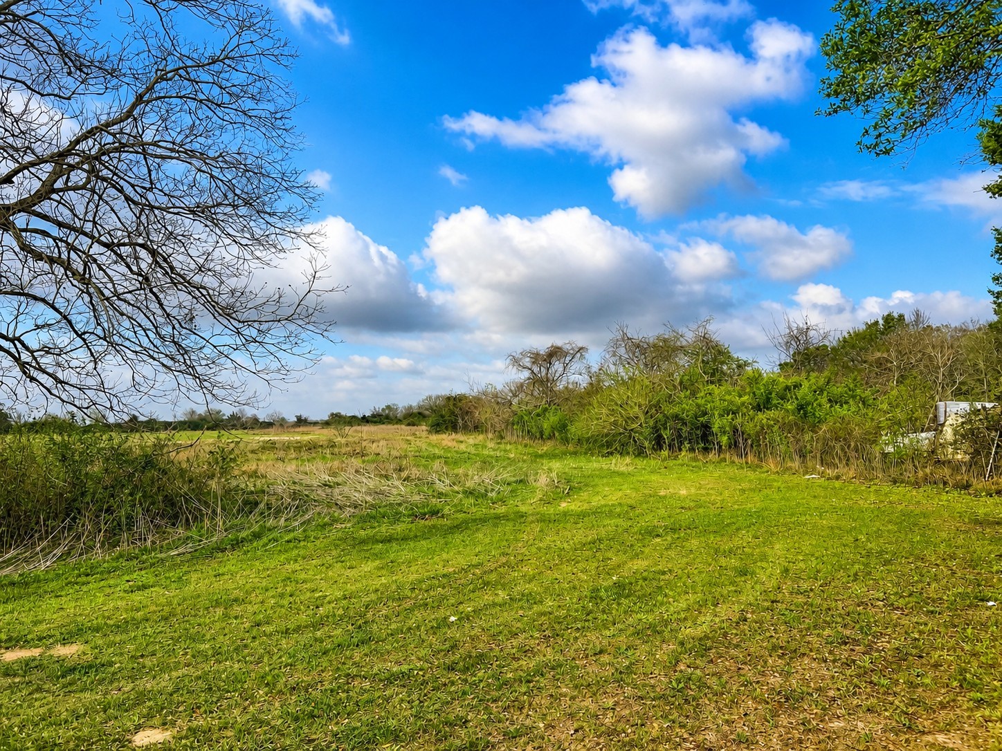1161 West FM 1161 Road Wharton, TX 77488 - Photo 4 of 14 a view of a yard with an outdoor space