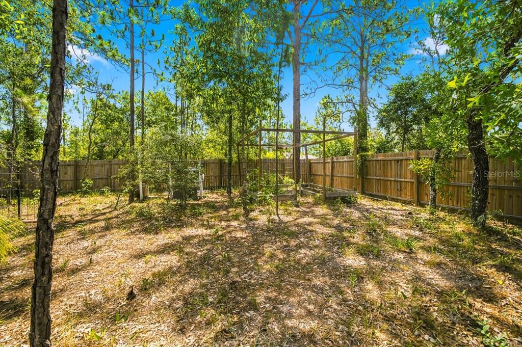 15186 Duck Hawk Road Weeki Wachee, FL 34614 - Photo 54 of 62