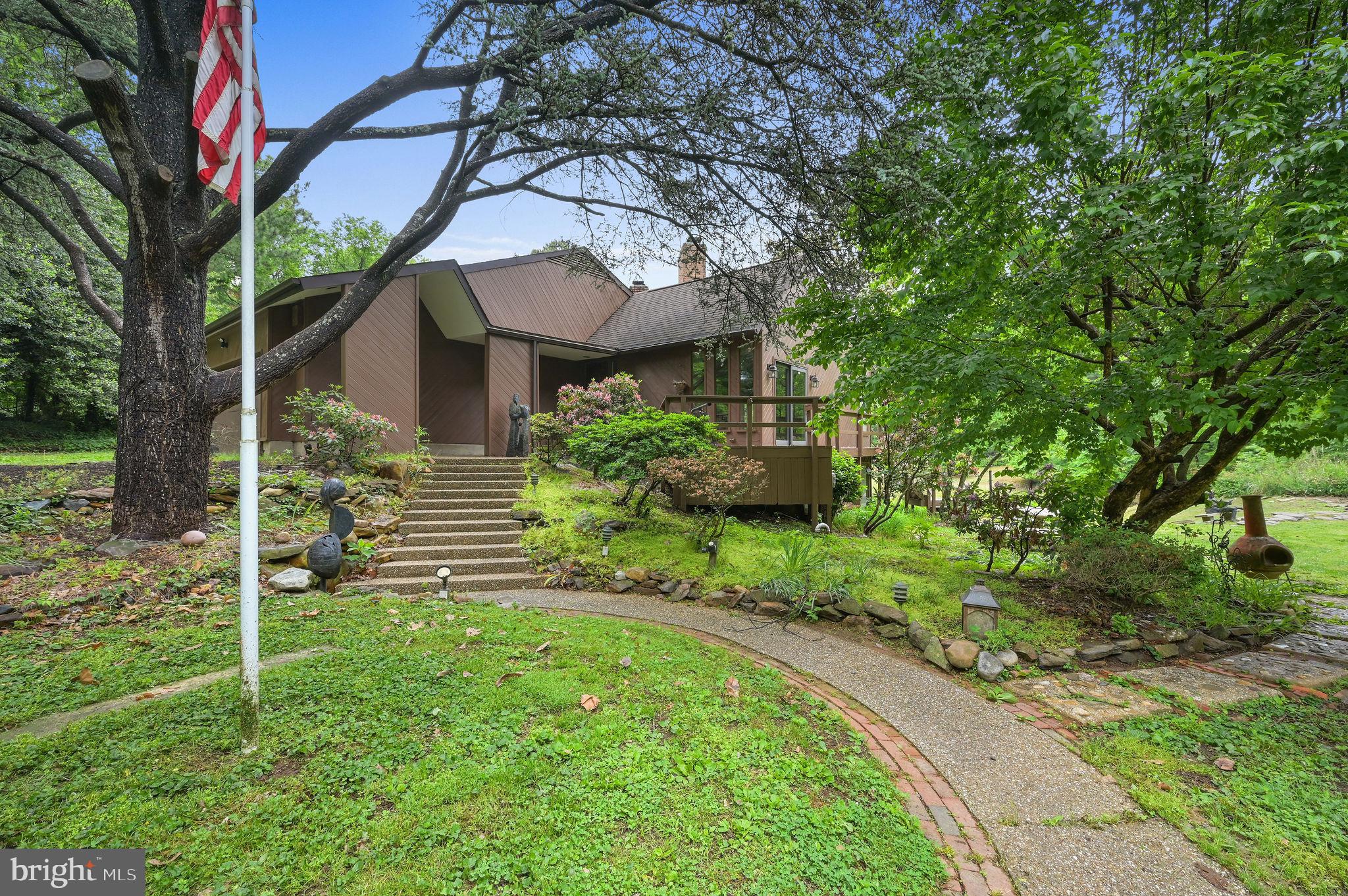 a backyard of a house with plants and large tree