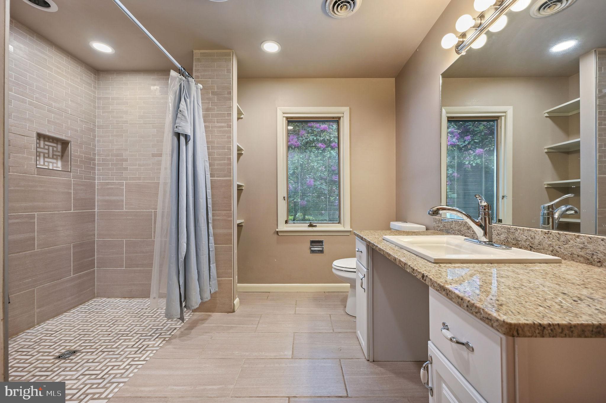 124 Meadowglen Drive Dover, DE 19901 - Photo 17 of 27 a bathroom with a granite countertop sink a toilet a large mirror and shower