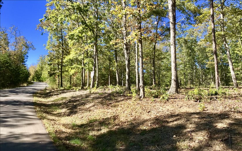 Lt19 Rustic Barn Trail Morganton, GA 30560 - Photo 1 of 1 Main View