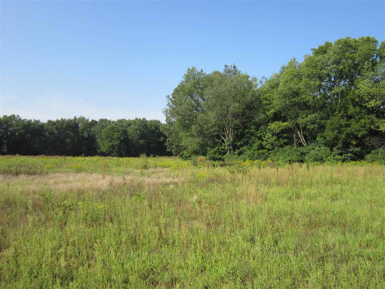 1260 Munith Road Jackson, MI 49201 - Photo 3 of 7 Photo 3