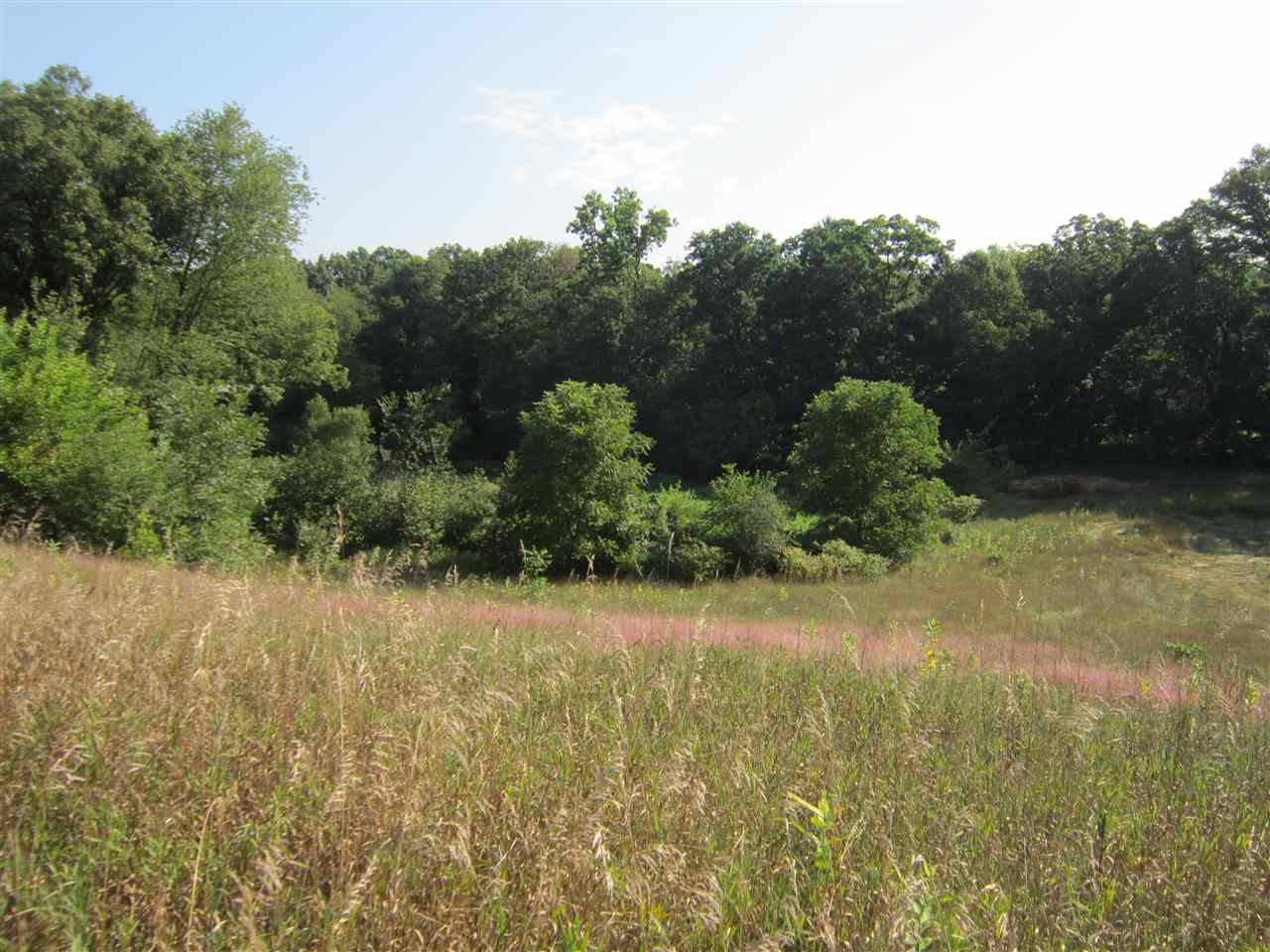 1260 Munith Road Jackson, MI 49201 - Photo 4 of 7 Photo 4