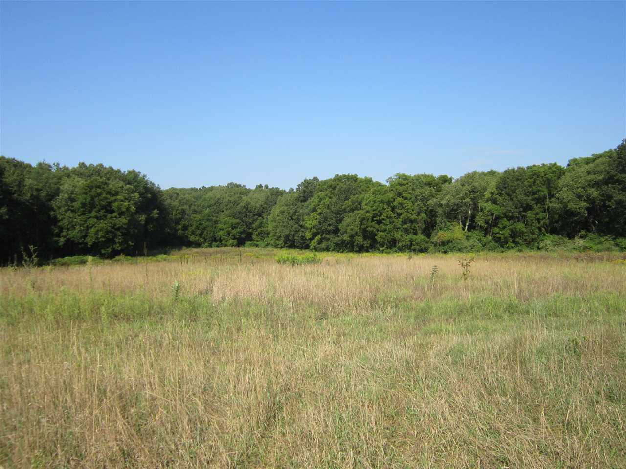 1260 Munith Road Jackson, MI 49201 - Photo 6 of 7 Photo 6