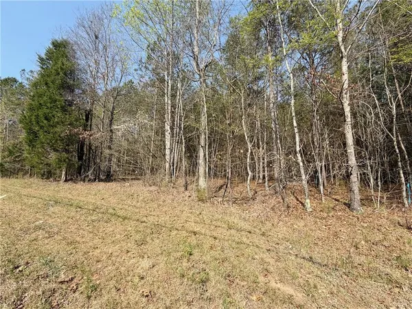$115,000 | Tract8 Law Road Northwest, Cartersville, GA 30120