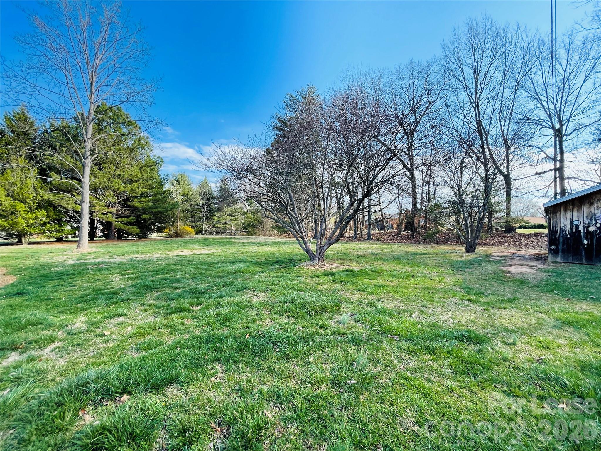 2499 Brookwood Road Lincolnton, NC 28092 - Photo 11 of 12 a view of yard with trees