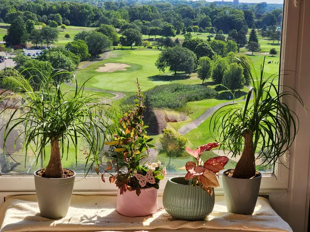 $224,000 | 5000 Town Centre, Unit 1404, Southfield, MI 48075