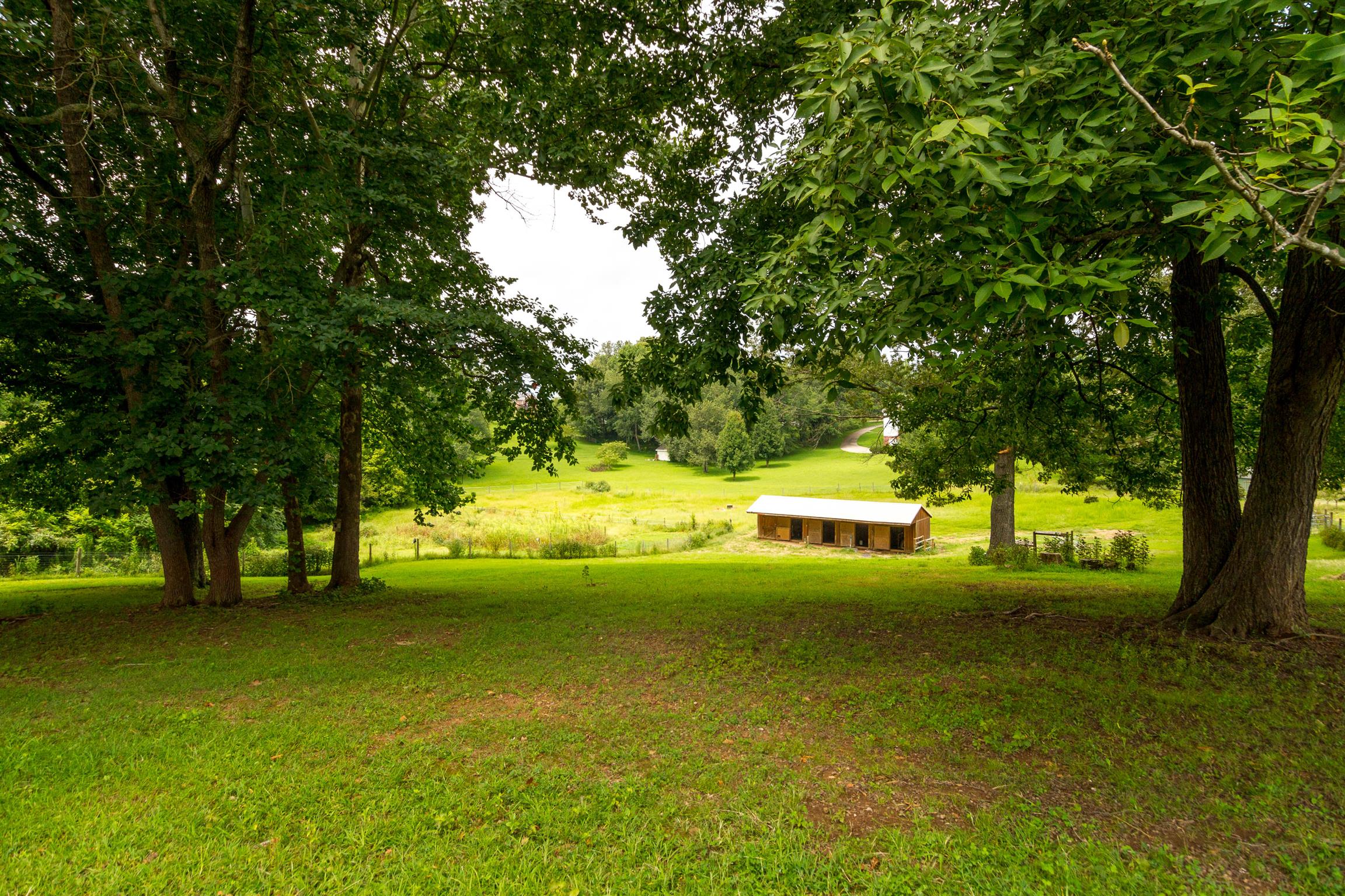 1941 Bradbury Road Adams, TN 37010 - Photo 5 of 30 a view of an ocean from a yard