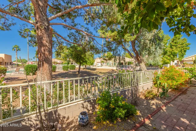 a view of road with large trees