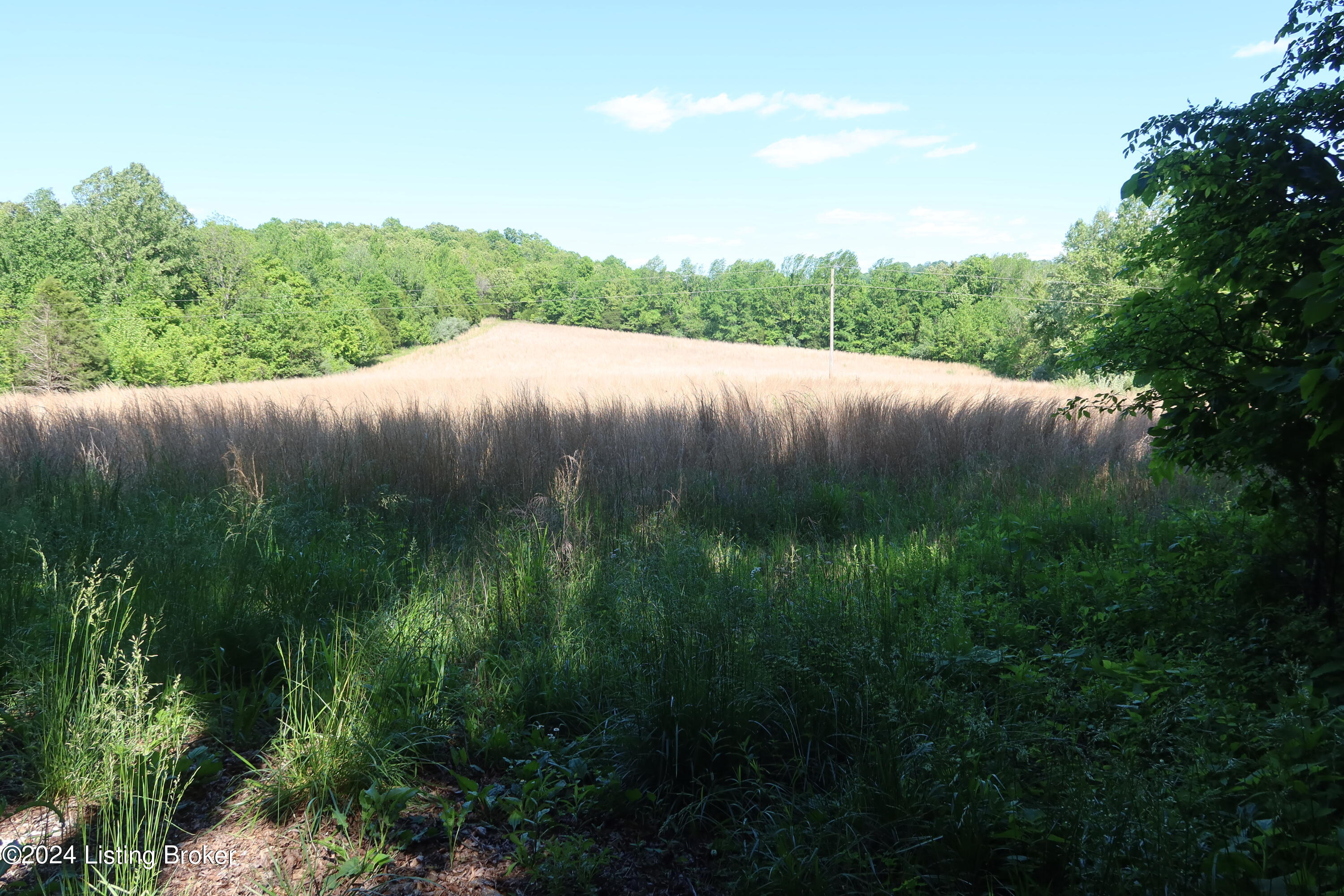 0 Schneider Road Falls Of Rough, KY 40119 - Photo 6 of 16 2024-05-11 04.28.02