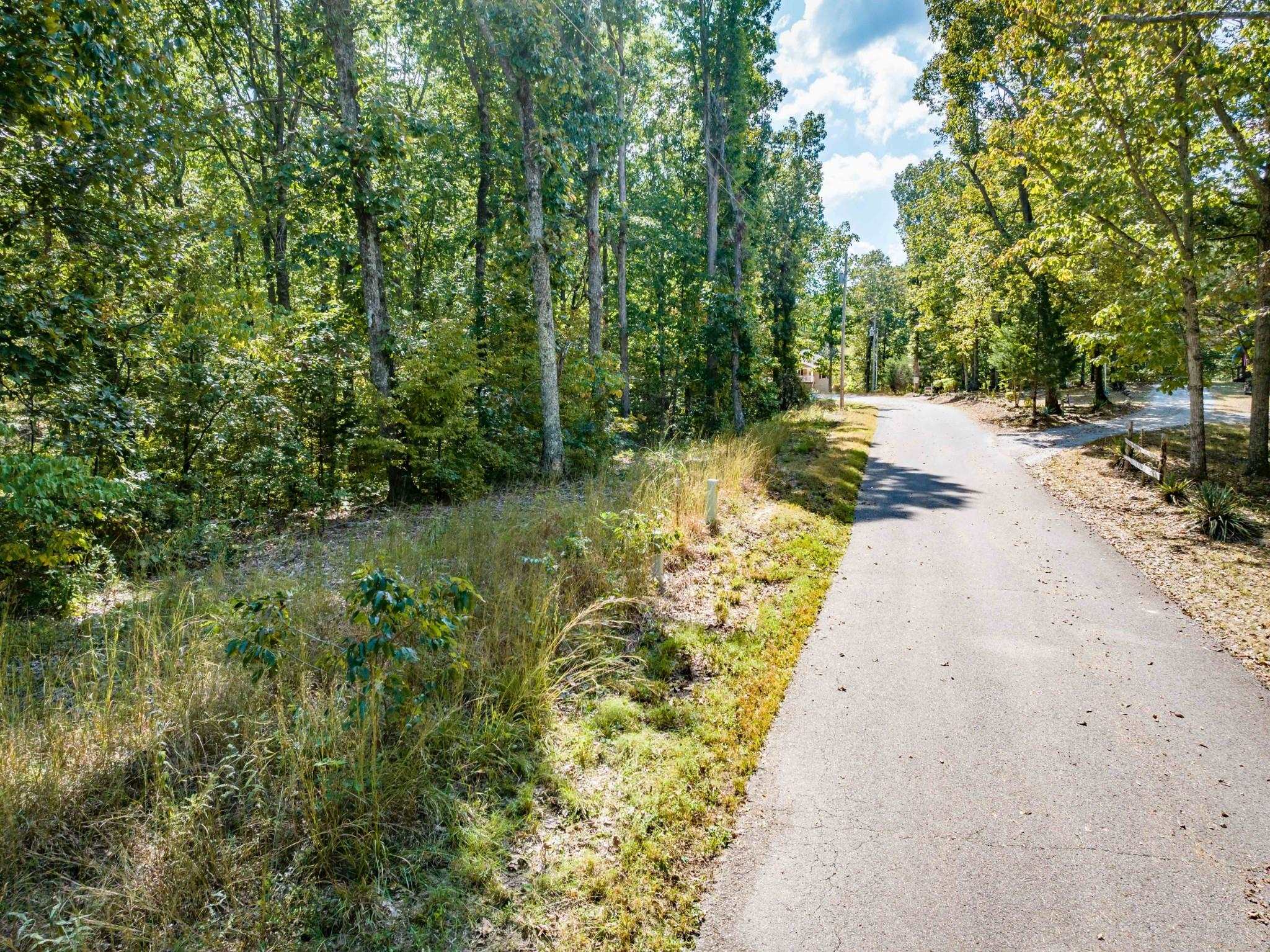 Lot 14-16 Ridgeway Drive Sugar Tree, TN 38380 - Photo 8 of 19 View of street