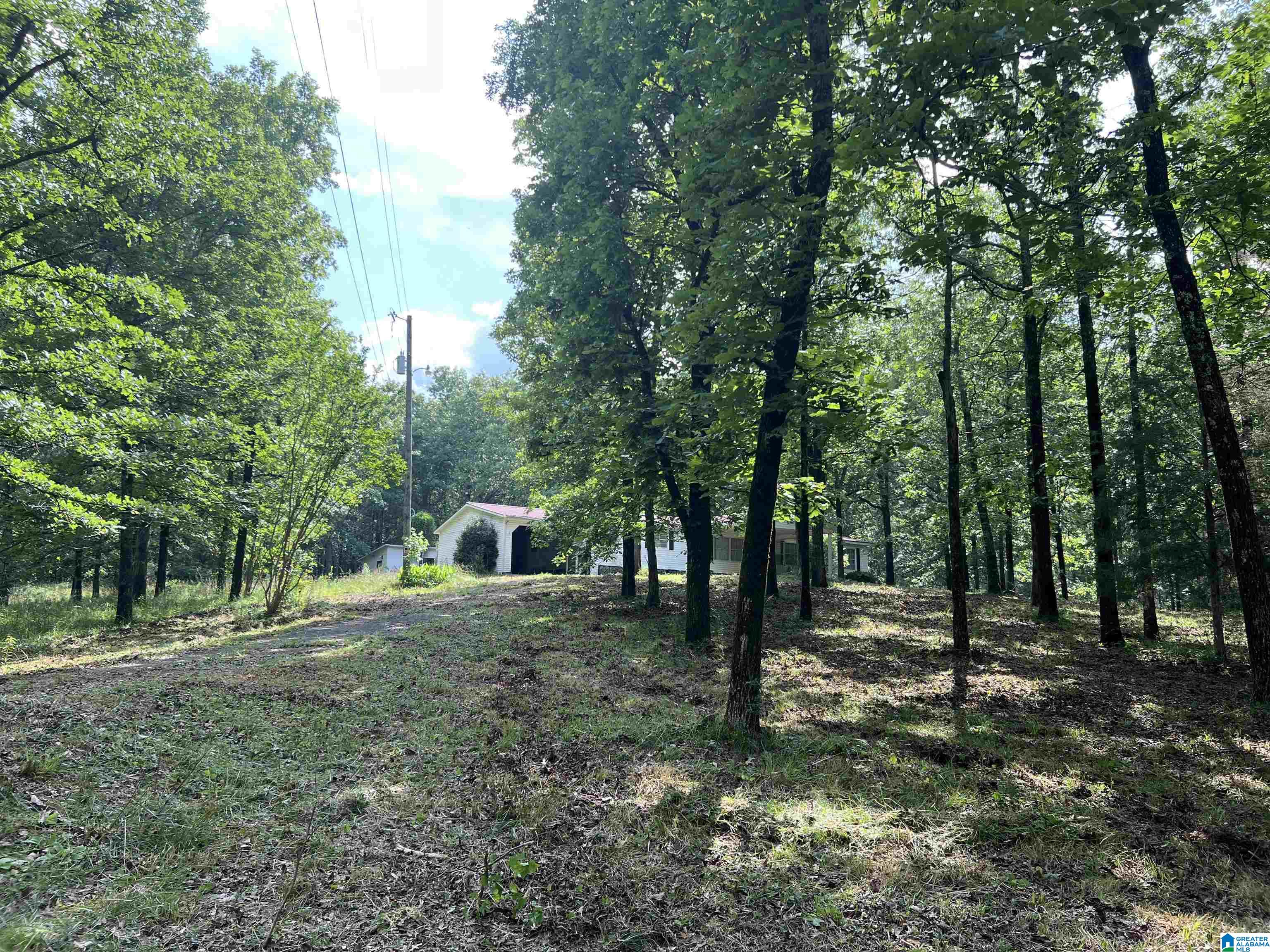 330 Mitchellville Road Ohatchee, AL 36271 - Photo 4 of 10