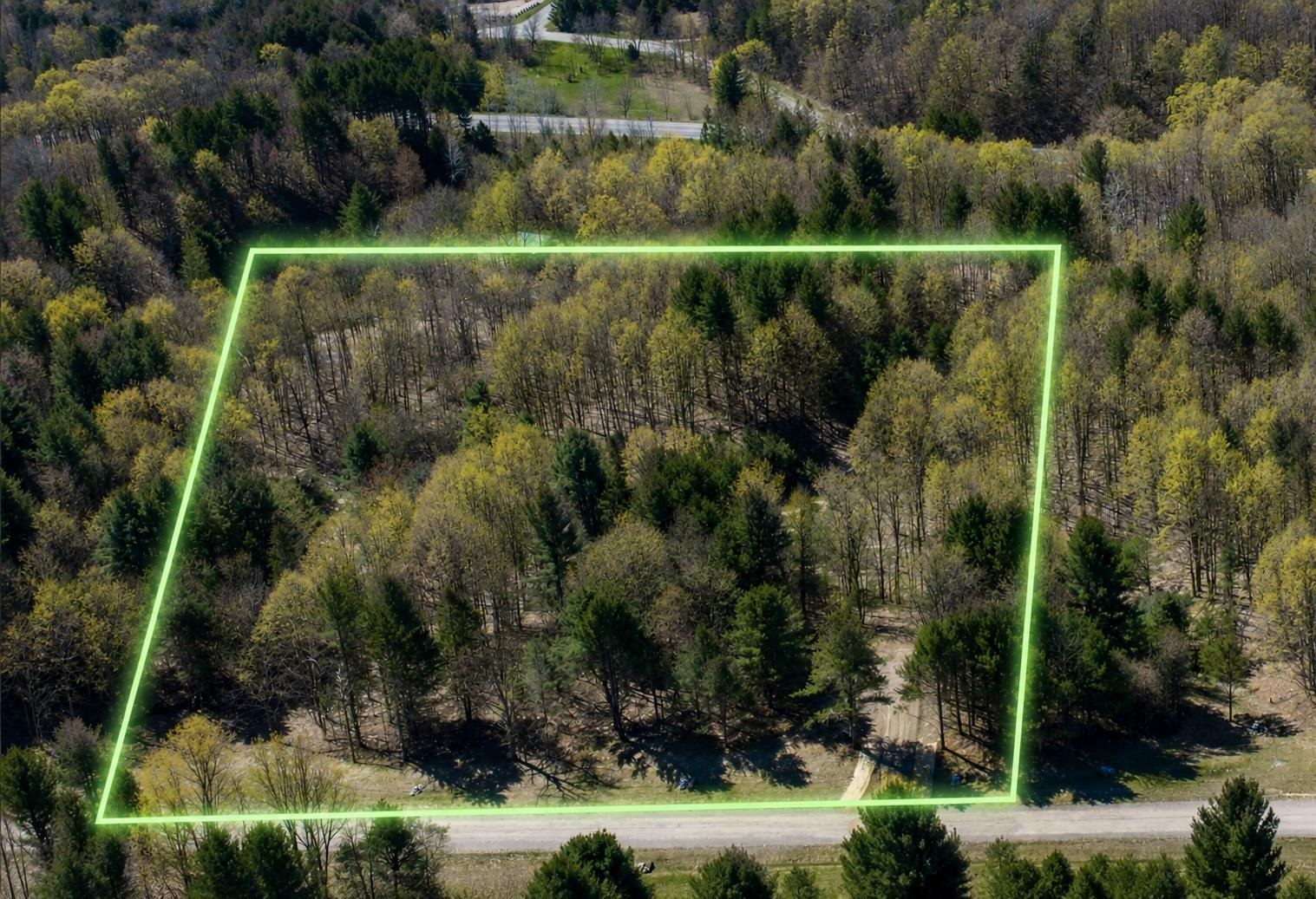 Lot #4 East Bellinger Road, Unit BELLINGER ESTATES Cedar, MI 49621 - Photo 1 of 27