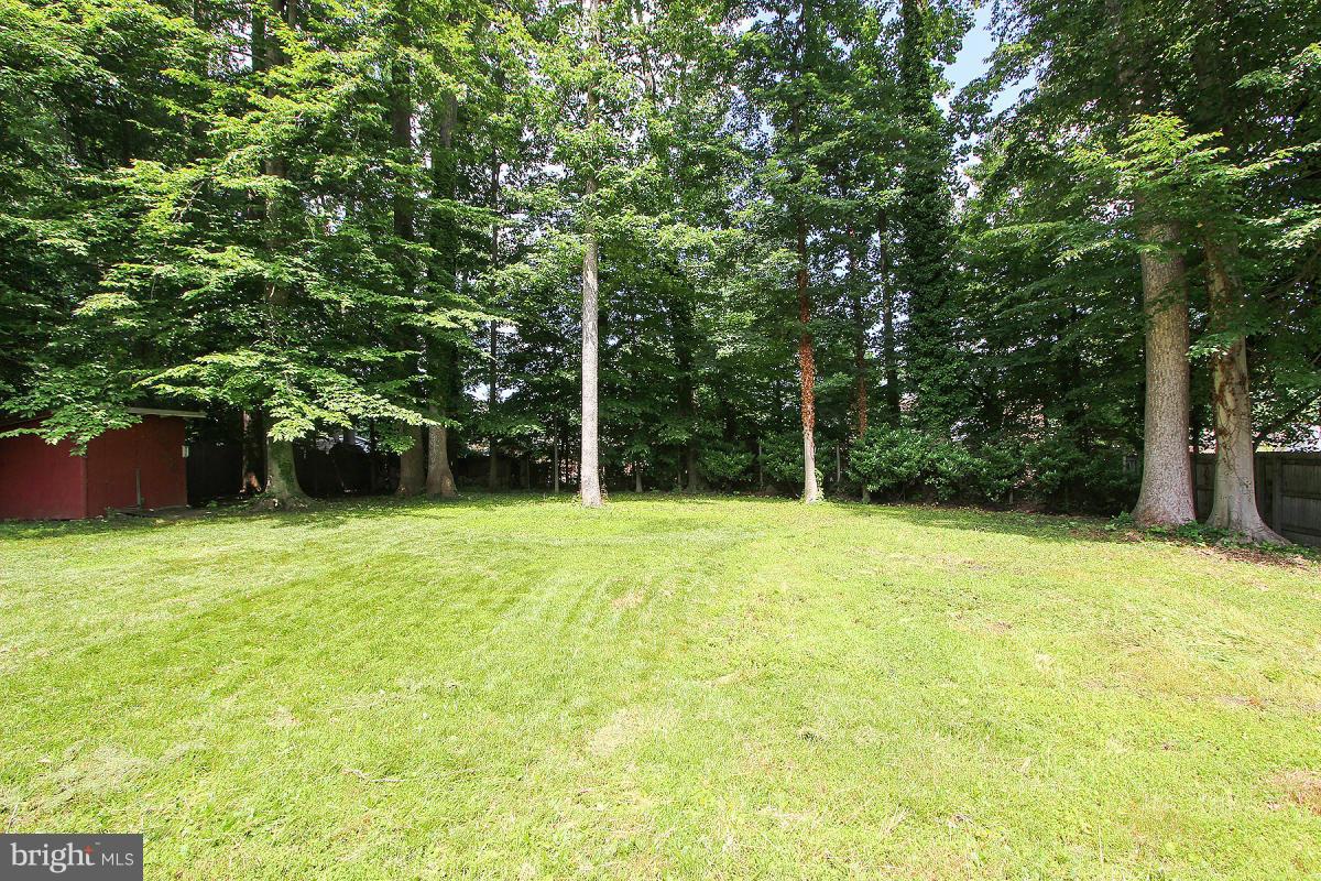 8904 Victoria Road Springfield, VA 22151 - Photo 29 of 30 Exterior (Rear)