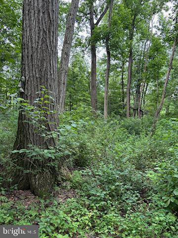 1228 Fridinger Mill Road Westminster, MD 21157 - Photo 44 of 50 Gallery Image 44