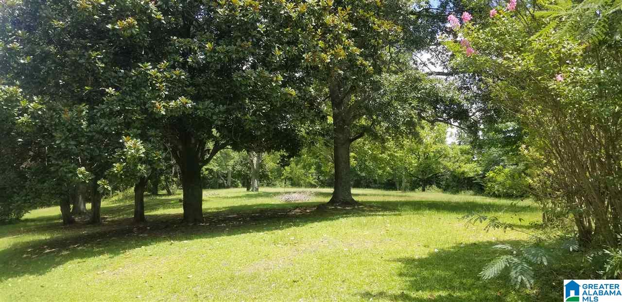 173 Beagle Club Road, Unit 1 2 Empire, AL 35063 - Photo 17 of 20