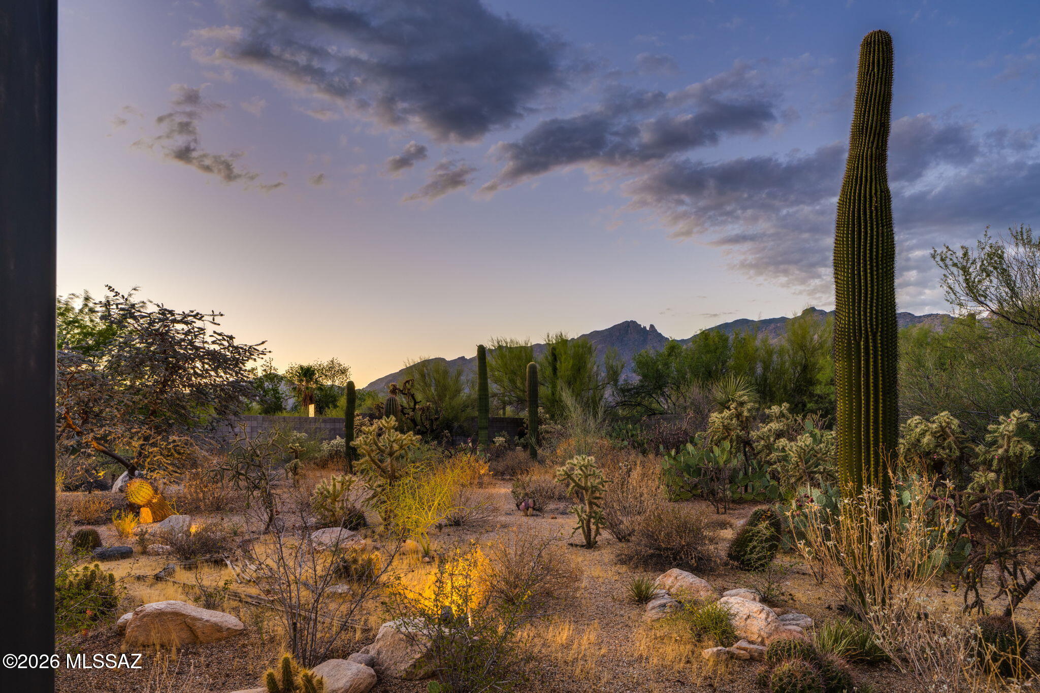 5070 North Valley View Road Tucson, AZ 85718 - Photo 10 of 51 a view of a city with flower plants and wooden fence