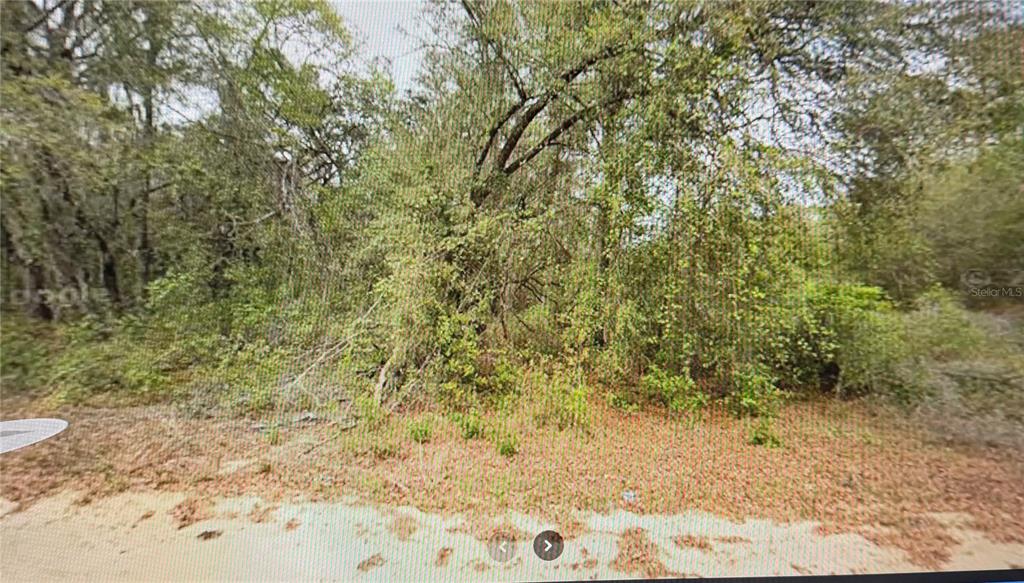 0 Elizabeth Ci Interlachen, FL 32148 - Photo 1 of 4 a view of a yard