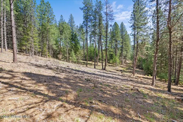 $275,000 | 97 Highway 97, Harrison, ID 83833