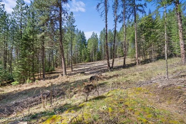 $275,000 | 97 Highway 97, Harrison, ID 83833