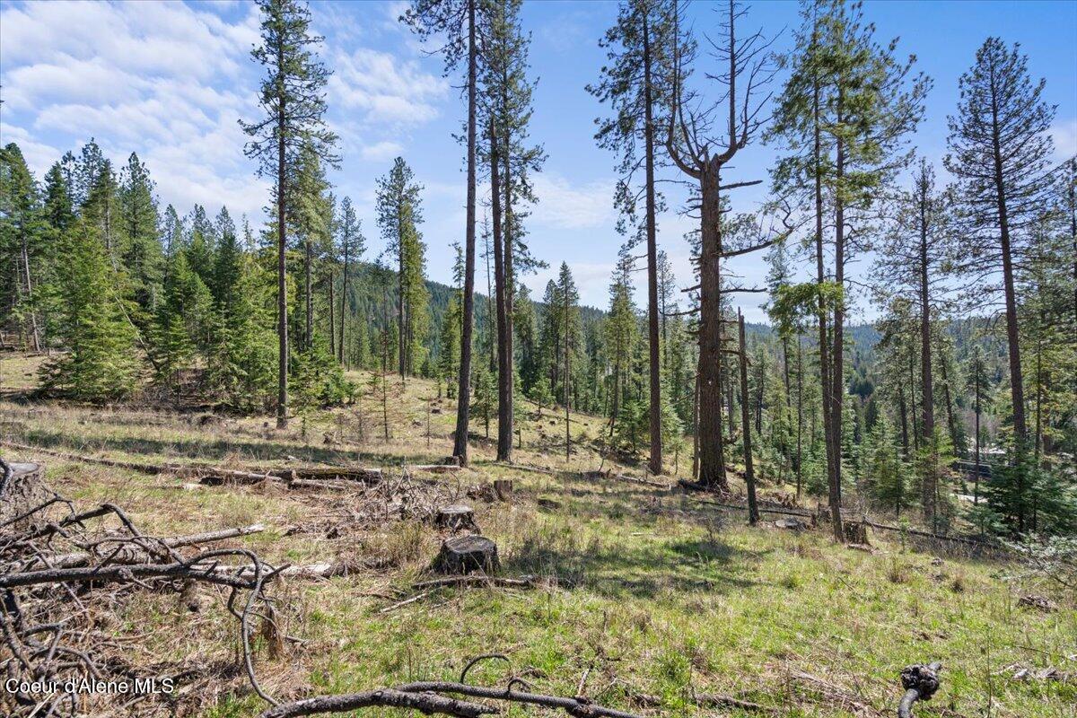 97 Highway 97 Harrison, ID 83833 - Photo 5 of 10 L2-4