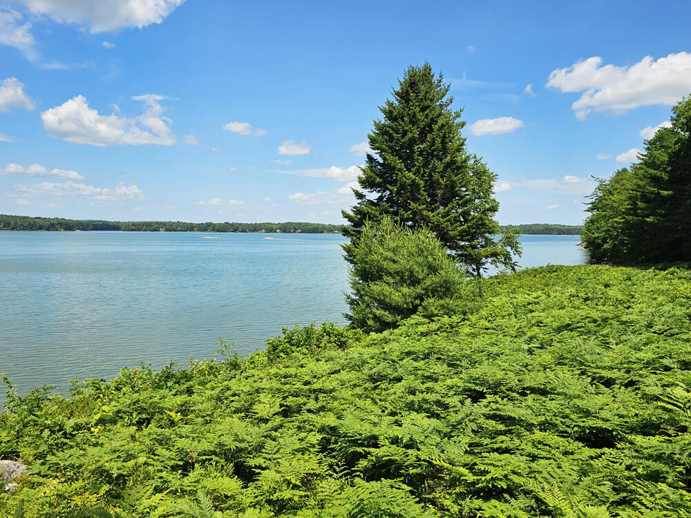 190 Heath Road Bremen, ME 04551 - Photo 15 of 57 Waterfront with Fern Field