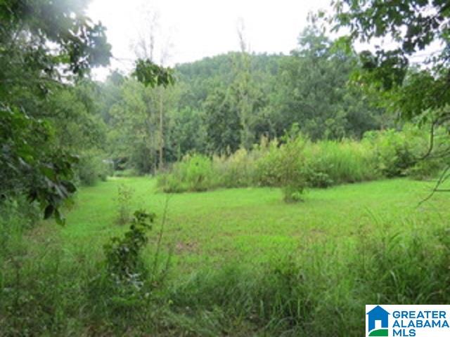 1980 Dripping Rock Road, Unit 20 50 AC Piedmont, AL 36272 - Photo 19 of 19