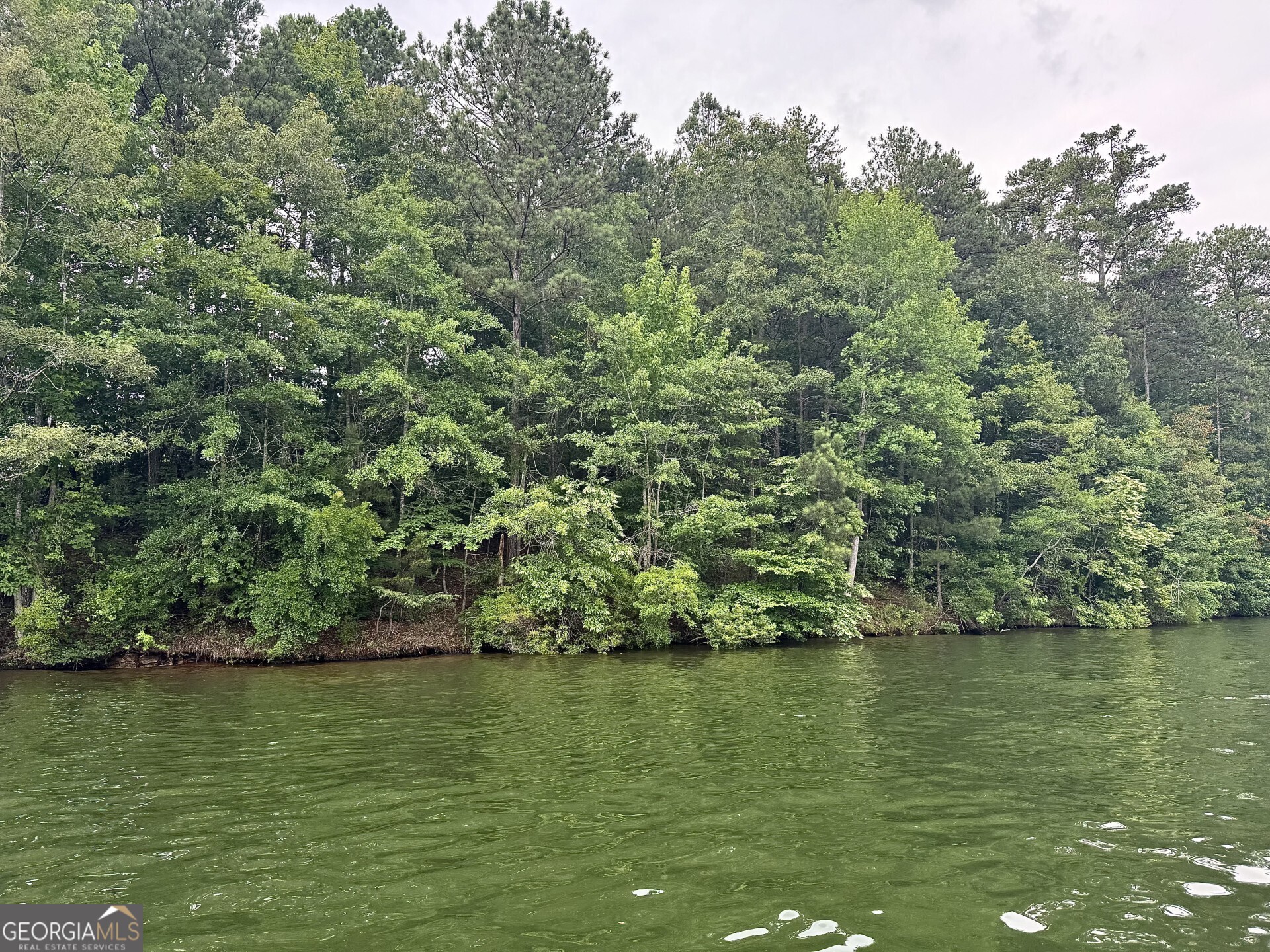 288 Walnut Street Wedowee, AL 36278 - Photo 2 of 11