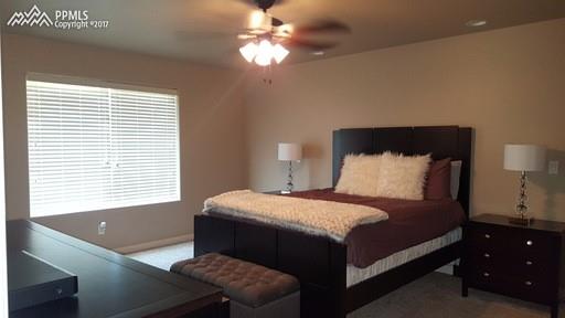 2375 Reed Grass Way Colorado Springs, CO 80915 - Photo 17 of 19