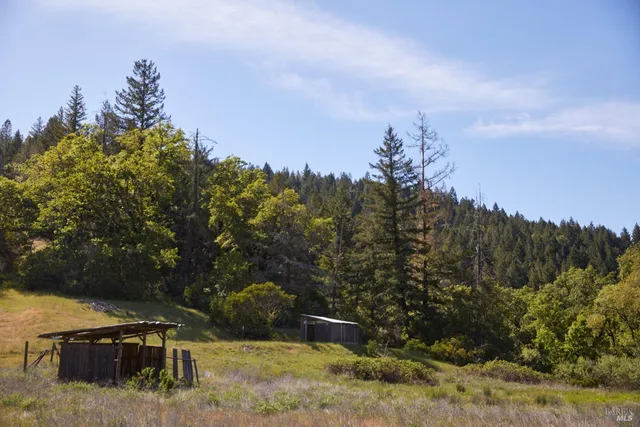 a view of a yard with a lake view