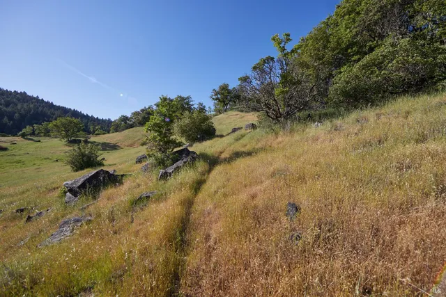 a view of lake with green space
