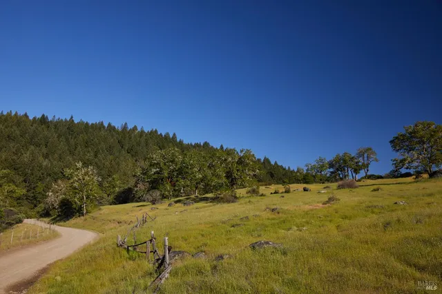 a view of a yard with an ocean