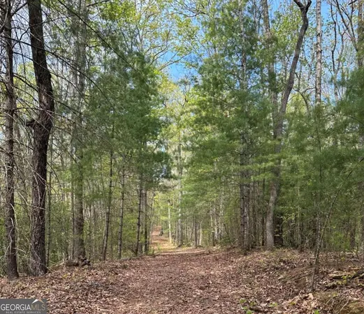 a backyard of a house with lots of trees