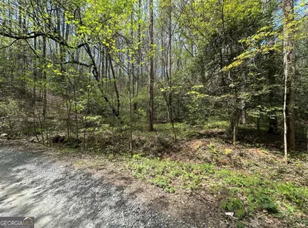 $50,000 | Lot 20 Big Ben Road, Unit 20, Ellijay, GA 30540