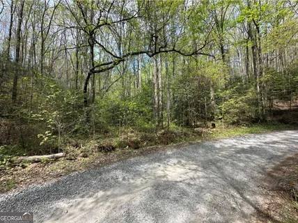 $50,000 | Lot 20 Big Ben Road, Unit 20, Ellijay, GA 30540